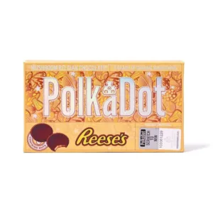 💥NEW💥 PolkaDot Magic Mushroom Chocolate Bar 4g